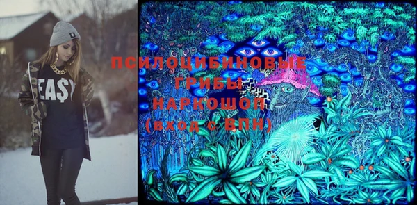 ПСИЛОЦИБИНОВЫЕ ГРИБЫ Балабаново