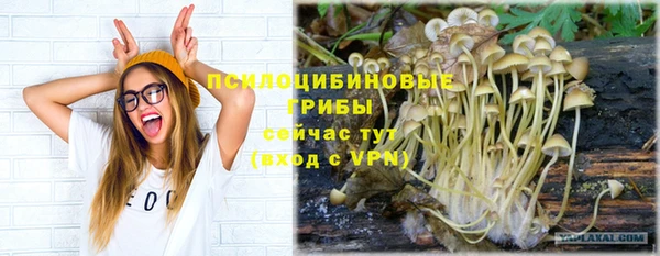 спайс Армянск