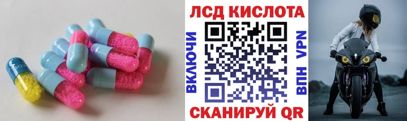 ЛСД экстази ecstasy  закладки  Пустошка 