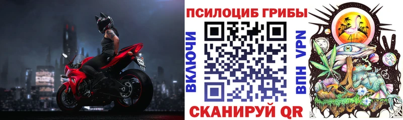 Псилоцибиновые грибы прущие грибы  mega маркетплейс  Пустошка 